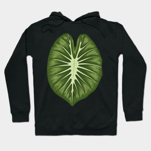 Colocasia white lava big leaf Hoodie